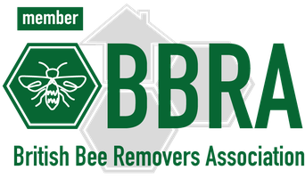 BBRA member
