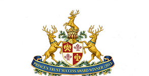 Prince’s Trust Success Award — Gold Winner 2013